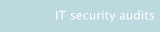 IT security audits