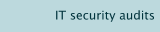 IT security audits